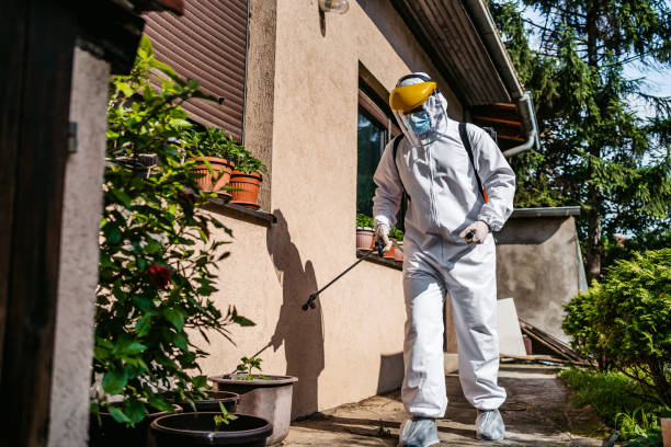 Big Stone Gap, VA Pest Control Company