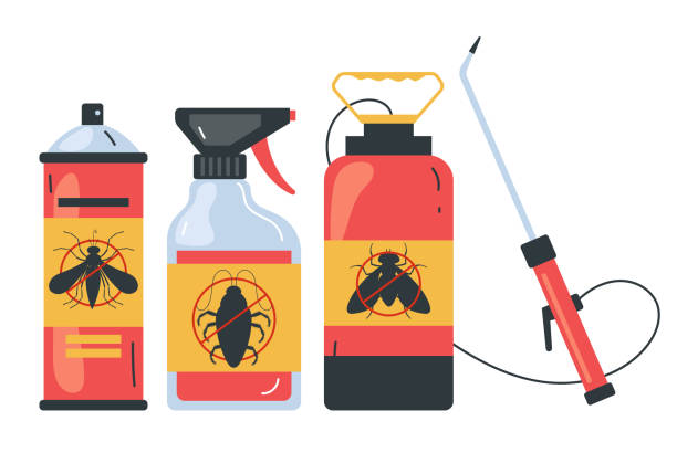 Trusted Big Stone Gap, VA Pest Control Experts