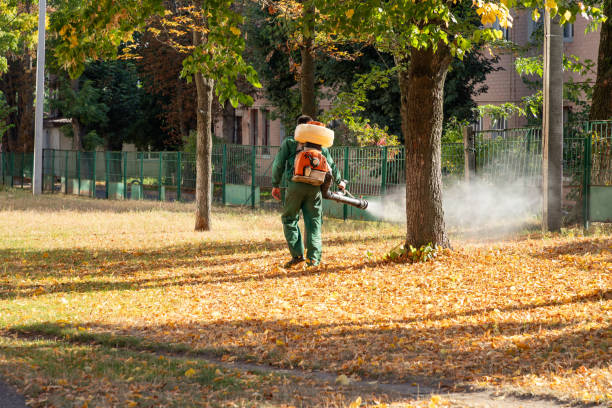 Best Best Pest Control Companies  in Big Stone Gap, VA